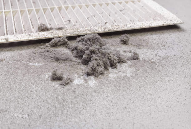 Best Air Vent Cleaning Services  in Carlyle, IL