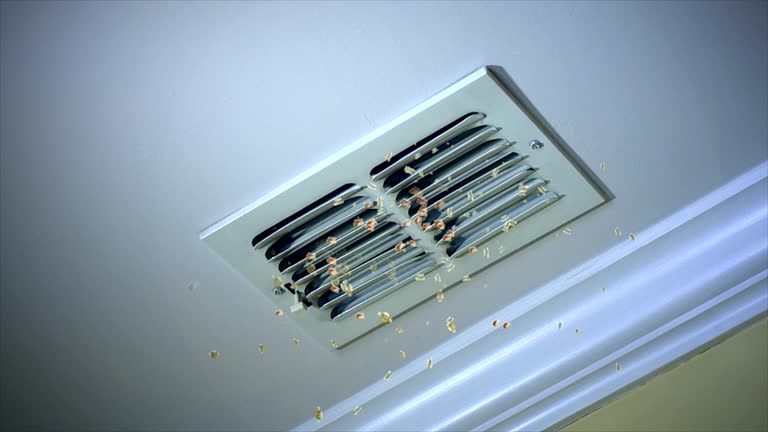 Best Dryer Vent Cleaning Services  in Carlyle, IL