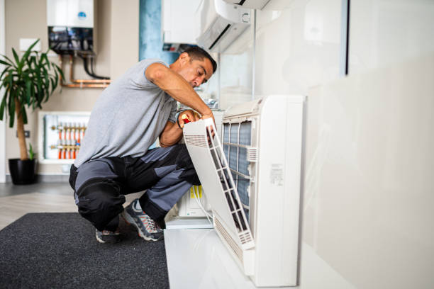 Best Air Duct Mold Removal  in Carlyle, IL
