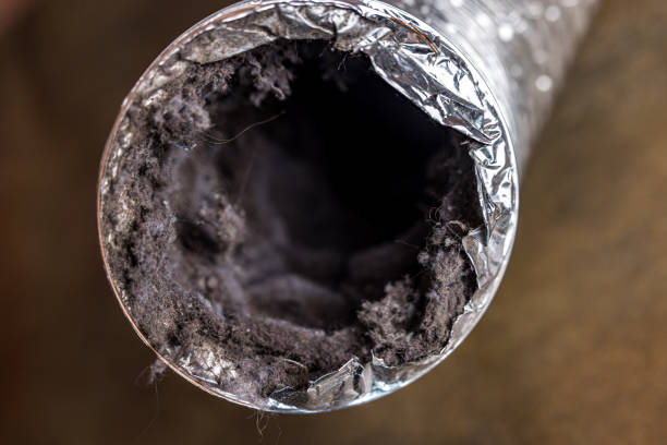 Best Air Duct Cleaning Near Me  in Carlyle, IL