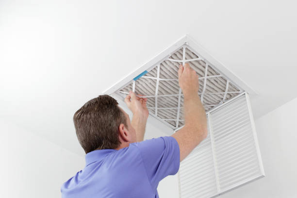 Air Duct Mold Removal in IL
